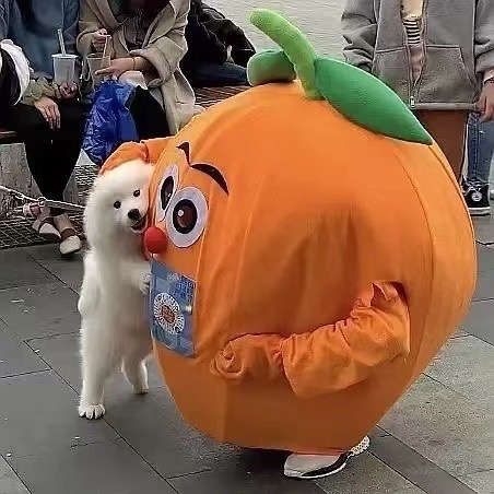 王颖桢